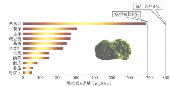 特医,免疫力,膳食,营养素,维生素,保健食品