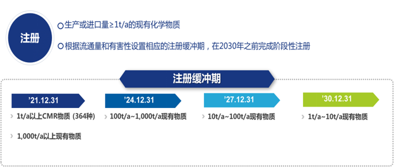 注册人,韩国,物质,完成,领头